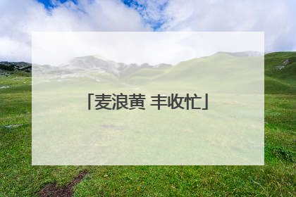 麦浪黄 丰收忙
